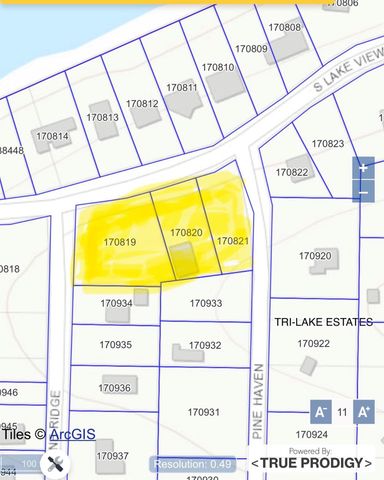 23869 S Lake View Road, Montgomery, TX 77316