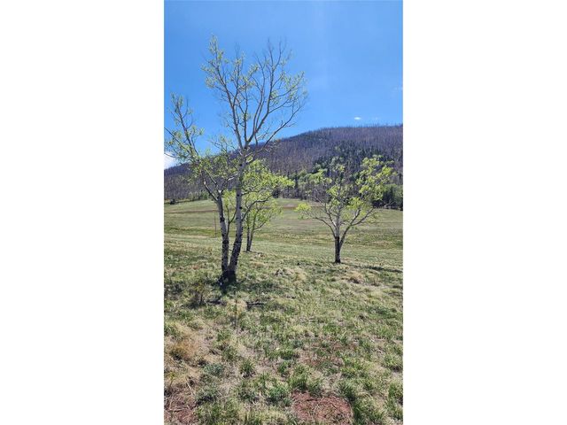 2334 Wohlstetter Loop, Fort Garland, CO 81133