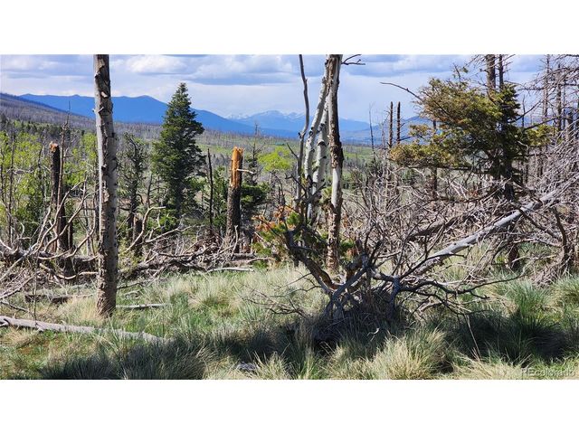 2334 Wohlstetter Loop, Fort Garland, CO 81133