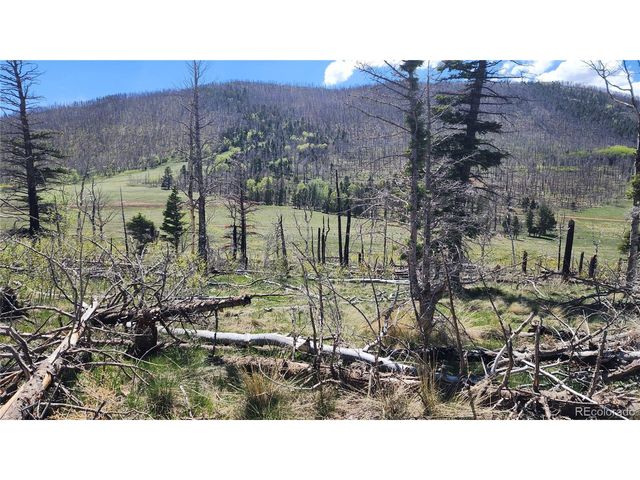 2334 Wohlstetter Loop, Fort Garland, CO 81133