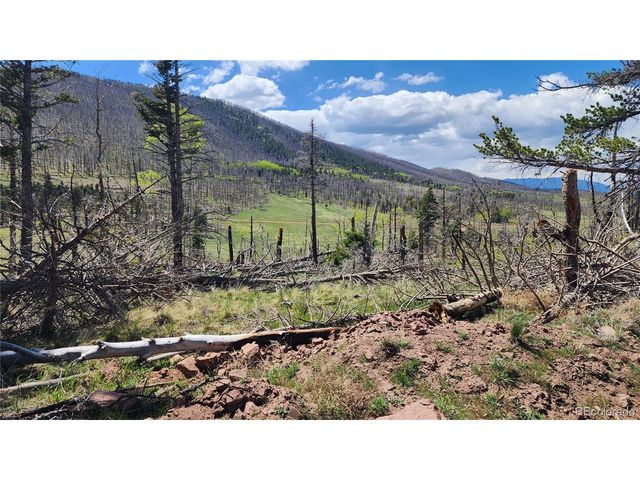 2334 Wohlstetter Loop, Fort Garland, CO 81133