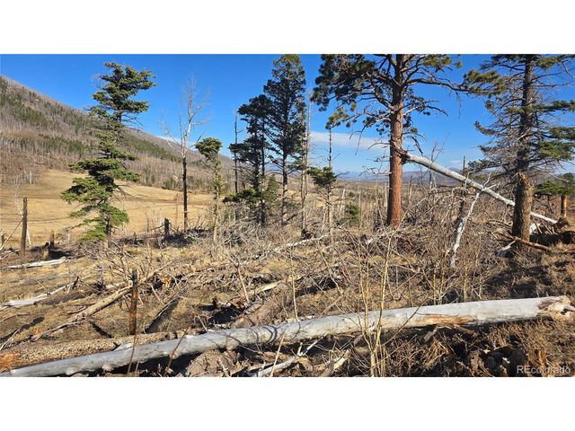 2334 Wohlstetter Loop, Fort Garland, CO 81133