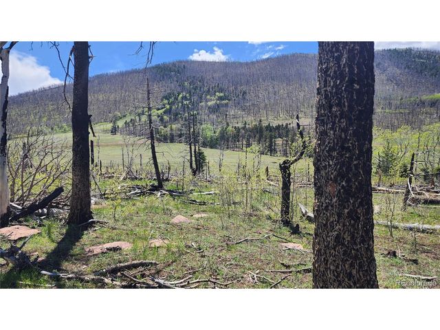 2334 Wohlstetter Loop, Fort Garland, CO 81133