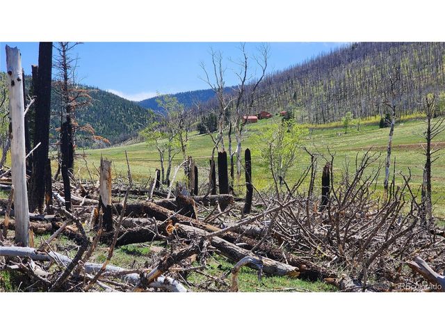 2334 Wohlstetter Loop, Fort Garland, CO 81133