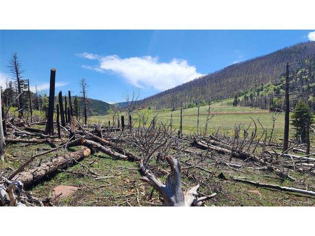 2334 Wohlstetter Loop, Fort Garland, CO 81133