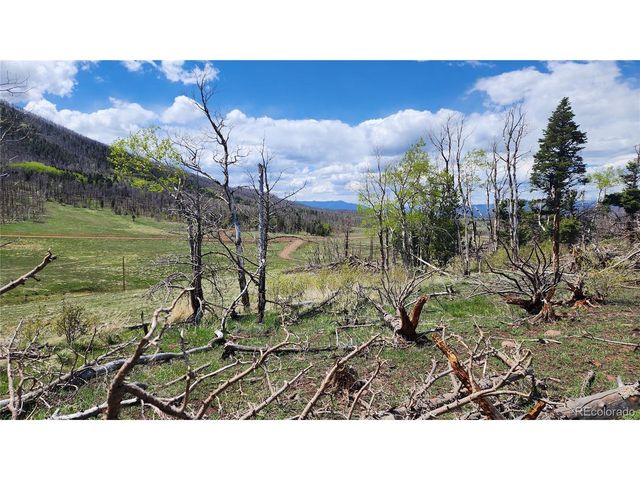 2334 Wohlstetter Loop, Fort Garland, CO 81133