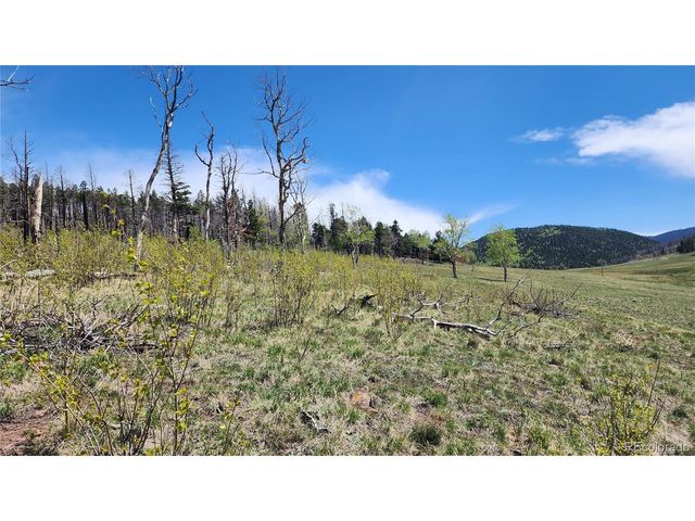 2334 Wohlstetter Loop, Fort Garland, CO 81133