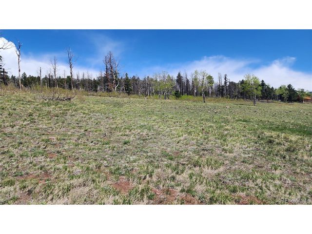 2334 Wohlstetter Loop, Fort Garland, CO 81133