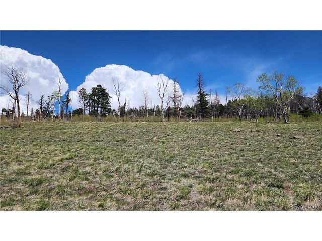2334 Wohlstetter Loop, Fort Garland, CO 81133