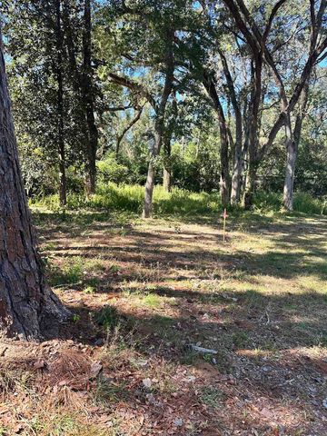 xxx Trescott Drive, Tallahassee, FL 32308