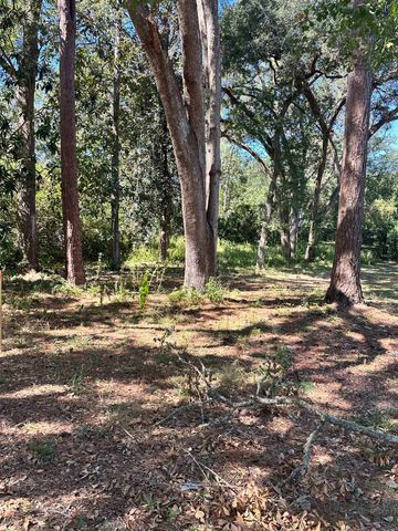 xxx Trescott Drive, Tallahassee, FL 32308