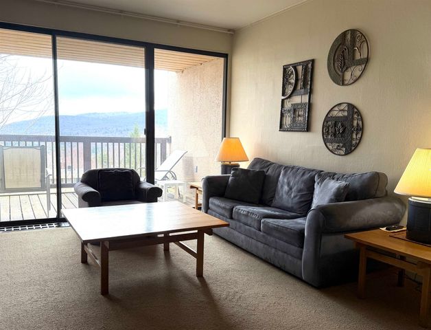 1275 Notchbrook Rd Apt 20AB, Stowe, VT 05672