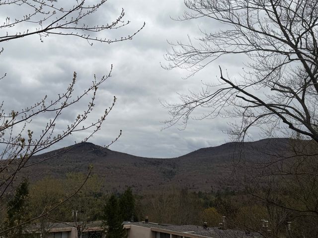 1275 Notchbrook Rd Apt 20AB, Stowe, VT 05672
