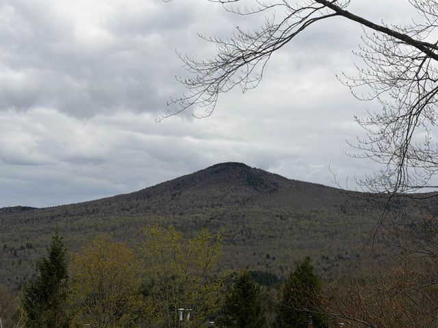 1275 Notchbrook Rd Apt 20AB, Stowe, VT 05672