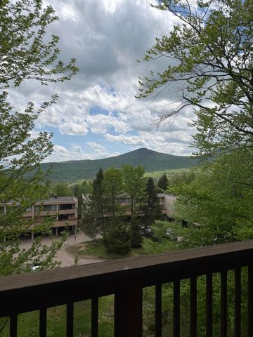 1275 Notchbrook Rd Apt 20AB, Stowe, VT 05672