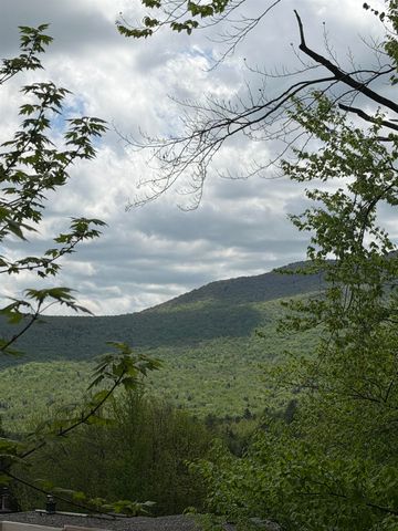 1275 Notchbrook Rd Apt 20AB, Stowe, VT 05672