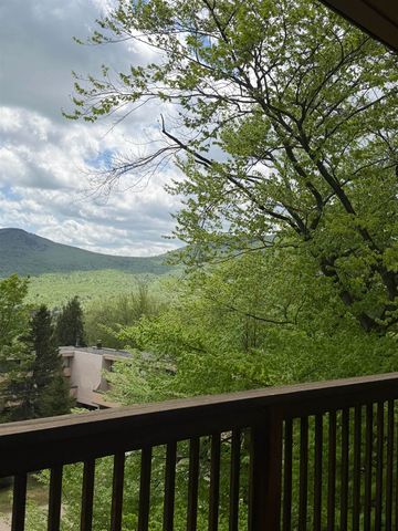 1275 Notchbrook Rd Apt 20AB, Stowe, VT 05672