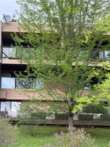 1275 Notchbrook Rd Apt 20AB, Stowe, VT 05672