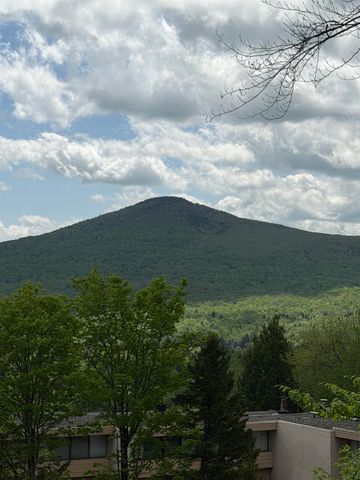 1275 Notchbrook Rd Apt 20AB, Stowe, VT 05672