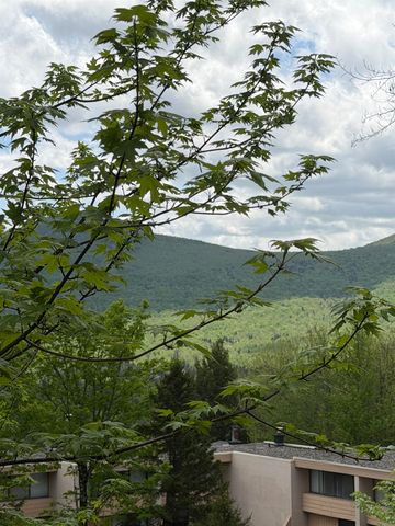 1275 Notchbrook Rd Apt 20AB, Stowe, VT 05672
