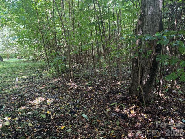 10 Lewis Lane 10, Maggie Valley, NC 28751