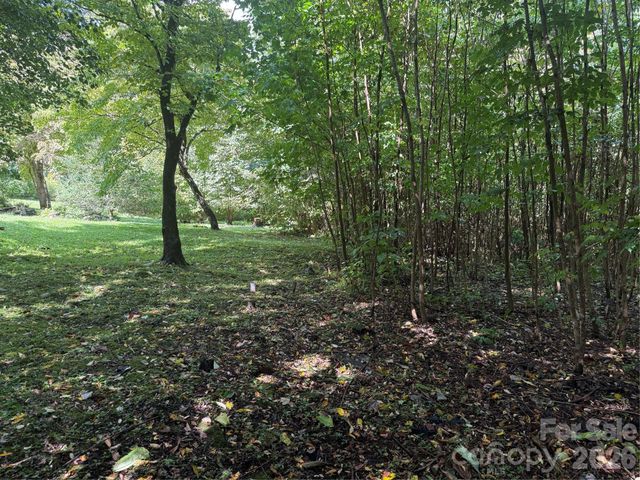 10 Lewis Lane 10, Maggie Valley, NC 28751