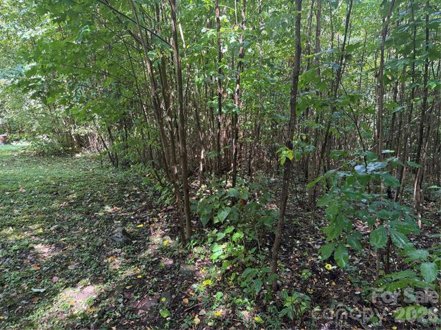 10 Lewis Lane 10, Maggie Valley, NC 28751
