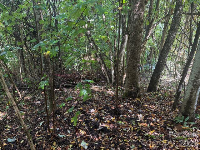 10 Lewis Lane 10, Maggie Valley, NC 28751