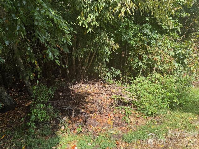 10 Lewis Lane 10, Maggie Valley, NC 28751