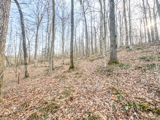 835 Mount Zion Rd, Decaturville, TN 38329