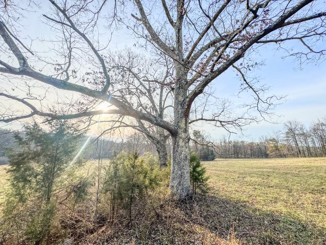 835 Mount Zion Rd, Decaturville, TN 38329