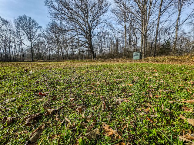 835 Mount Zion Rd, Decaturville, TN 38329