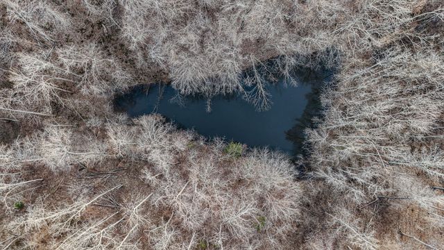 835 Mount Zion Rd, Decaturville, TN 38329