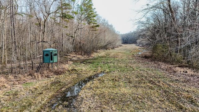 835 Mount Zion Rd, Decaturville, TN 38329