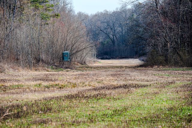 835 Mount Zion Rd, Decaturville, TN 38329