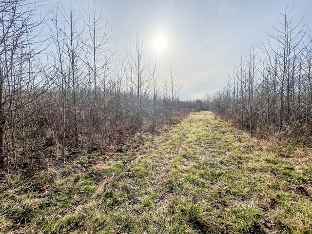 835 Mount Zion Rd, Decaturville, TN 38329