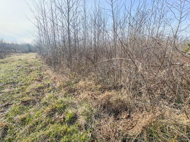 835 Mount Zion Rd, Decaturville, TN 38329