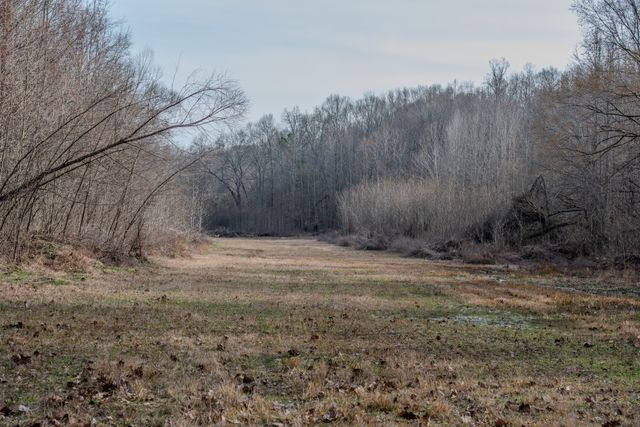 835 Mount Zion Rd, Decaturville, TN 38329