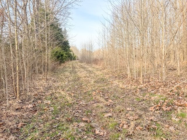 835 Mount Zion Rd, Decaturville, TN 38329