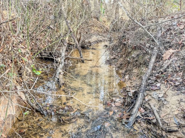 835 Mount Zion Rd, Decaturville, TN 38329