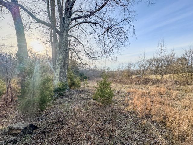 835 Mount Zion Rd, Decaturville, TN 38329