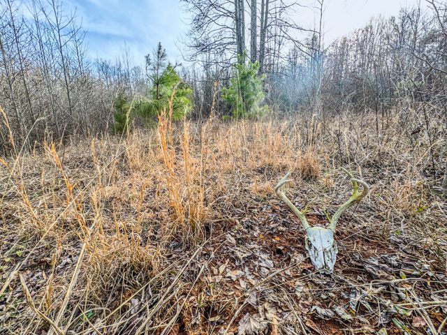 835 Mount Zion Rd, Decaturville, TN 38329