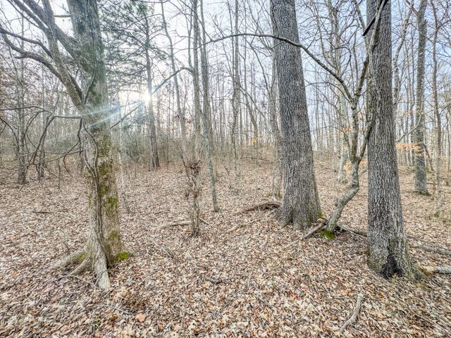 835 Mount Zion Rd, Decaturville, TN 38329