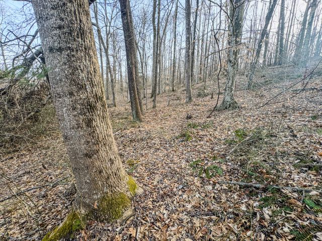 835 Mount Zion Rd, Decaturville, TN 38329