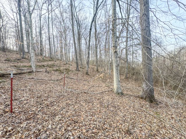 835 Mount Zion Rd, Decaturville, TN 38329