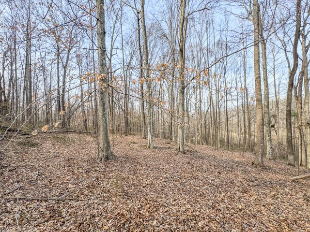 835 Mount Zion Rd, Decaturville, TN 38329