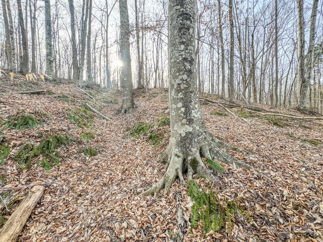 835 Mount Zion Rd, Decaturville, TN 38329