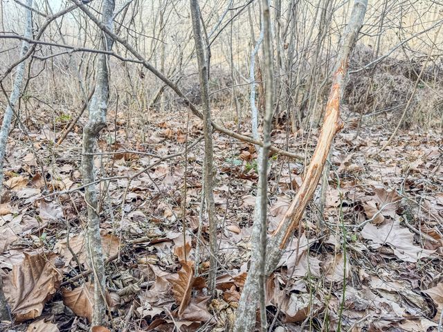 835 Mount Zion Rd, Decaturville, TN 38329