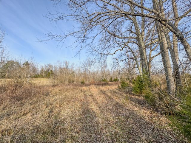 835 Mount Zion Rd, Decaturville, TN 38329