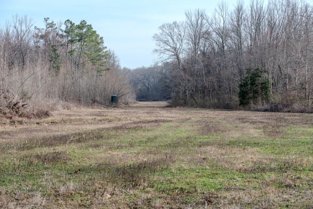 835 Mount Zion Rd, Decaturville, TN 38329